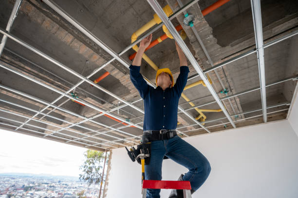 Best Plumbing Inspection Services  in Negaunee, MI